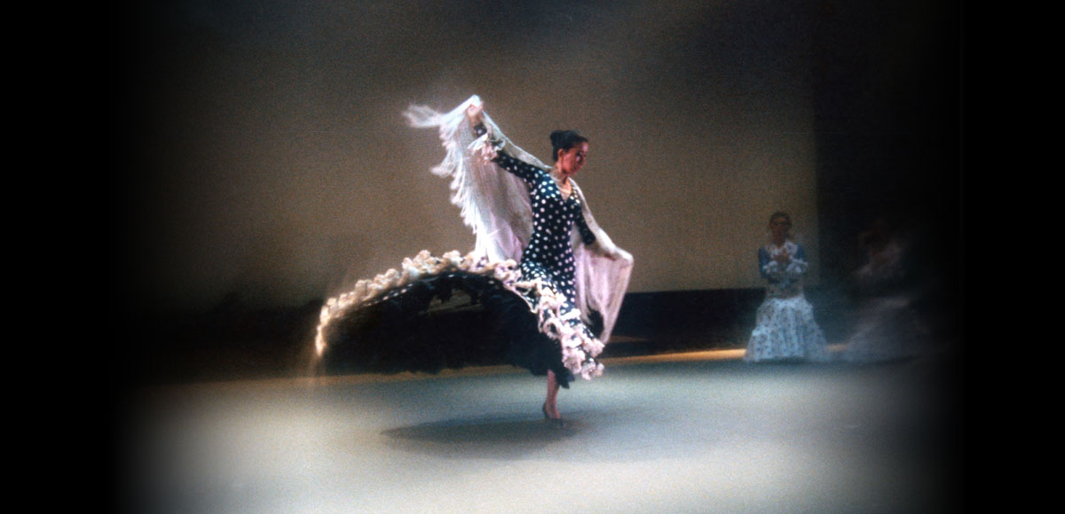 La Casa Del Baile Flamenco